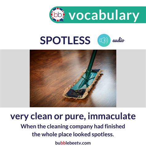 spotless meaning